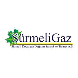 Sürmeli Gaz